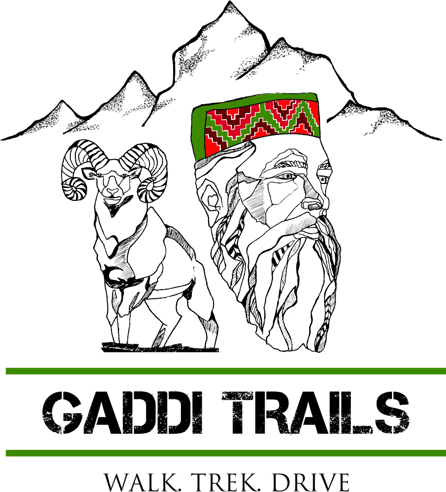 Gaddi Trails